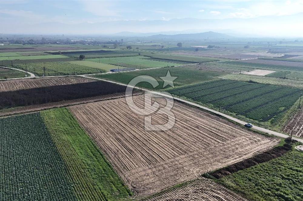 Bayındır Furunlu da 11.483 m2 Satılık Tarla