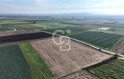 Bayındır Furunlu da 11.483 m2 Satılık Tarla