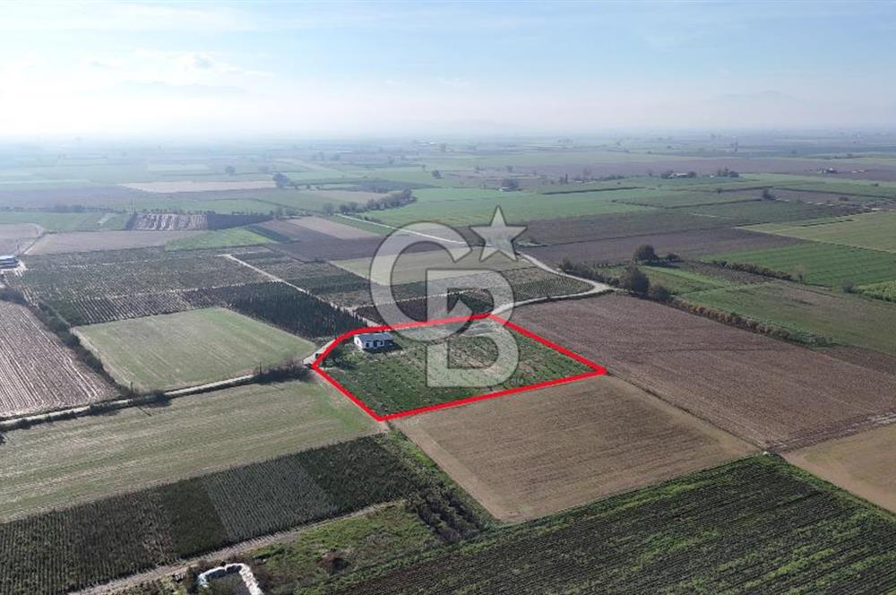 Bayındır 7.119 m² Tarla 107 m² Çelik Ev 250 Zeytin Ağacı 