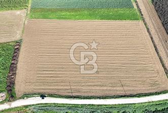 Bayındır Furunlu da 11.483 m2 Satılık Tarla - 7 - 320778