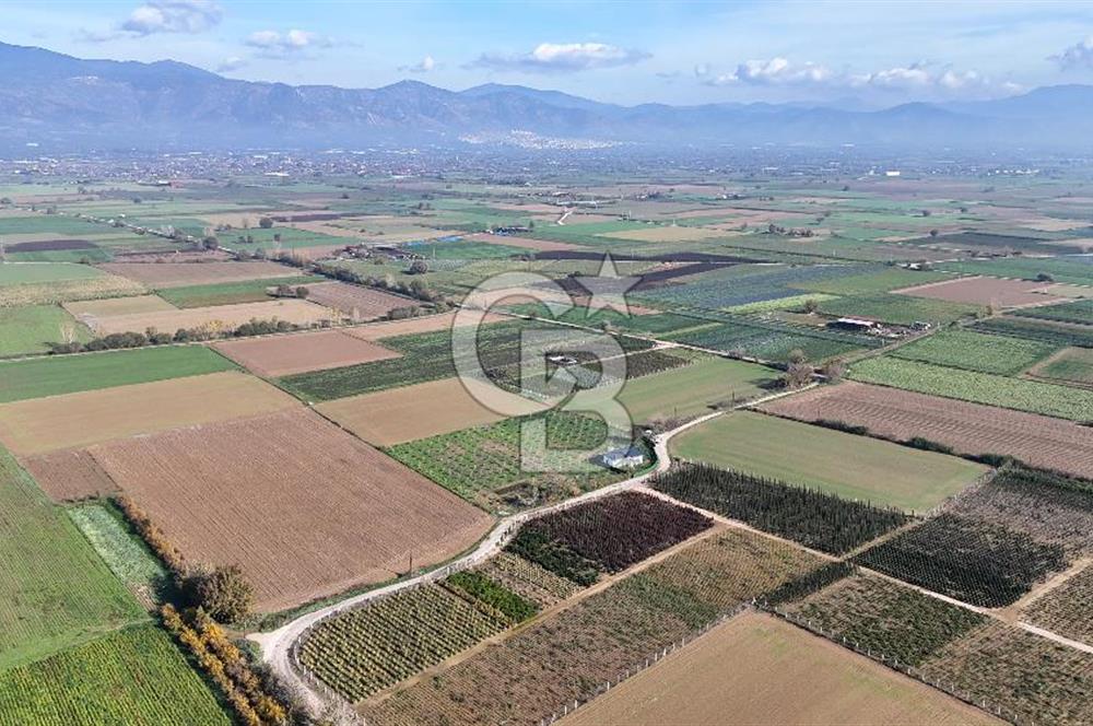 Bayındır 7.119 m² Tarla 107 m² Çelik Ev 250 Zeytin Ağacı 