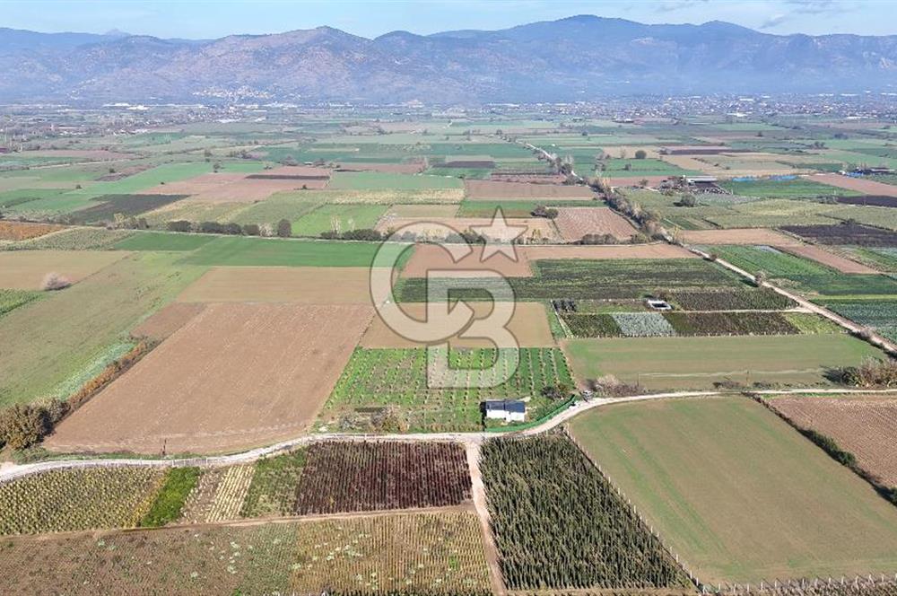 Bayındır 7.119 m² Tarla 107 m² Çelik Ev 250 Zeytin Ağacı 