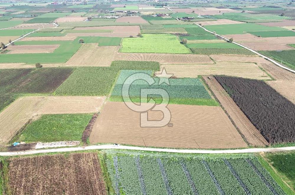 Bayındır Furunlu da 11.483 m2 Satılık Tarla