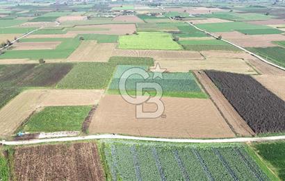 Bayındır Furunlu da 11.483 m2 Satılık Tarla