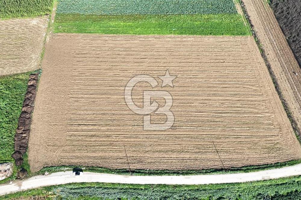 Bayındır Furunlu da 11.483 m2 Satılık Tarla