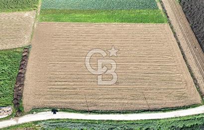 Bayındır Furunlu da 11.483 m2 Satılık Tarla