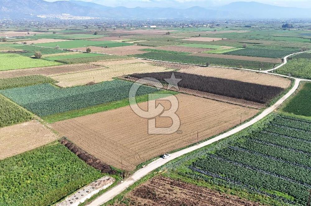 Bayındır Furunlu da 11.483 m2 Satılık Tarla