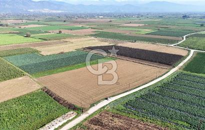 Bayındır Furunlu da 11.483 m2 Satılık Tarla