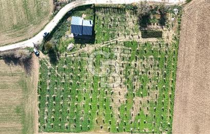 Bayındır 7.119 m² Tarla 107 m² Çelik Ev 250 Zeytin Ağacı 