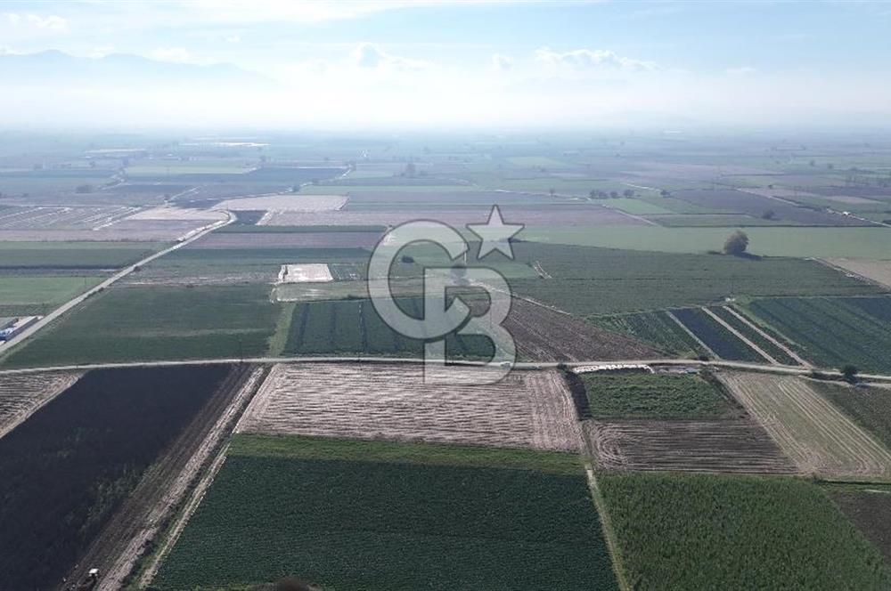 Bayındır Furunlu da 11.483 m2 Satılık Tarla