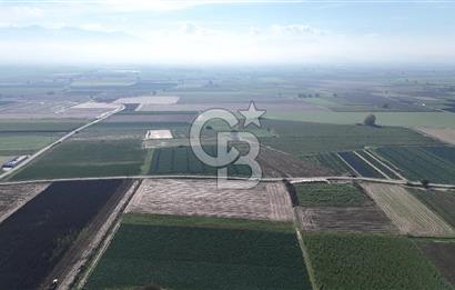 Bayındır Furunlu da 11.483 m2 Satılık Tarla