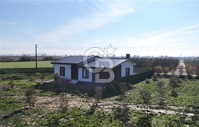 Bayındır 7.119 m² Tarla 107 m² Çelik Ev 250 Zeytin Ağacı 