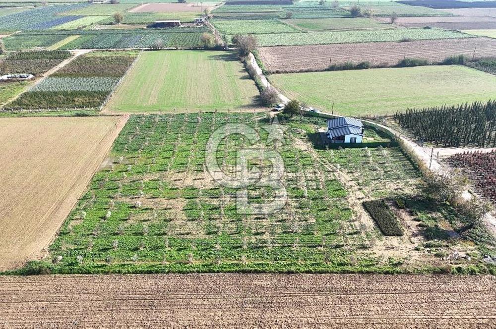 Bayındır 7.119 m² Tarla 107 m² Çelik Ev 250 Zeytin Ağacı 