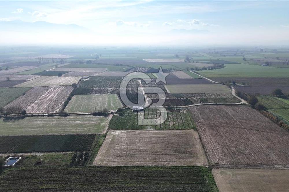 Bayındır 7.119 m² Tarla 107 m² Çelik Ev 250 Zeytin Ağacı 