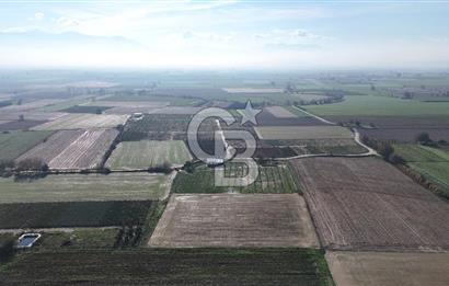 Bayındır 7.119 m² Tarla 107 m² Çelik Ev 250 Zeytin Ağacı 