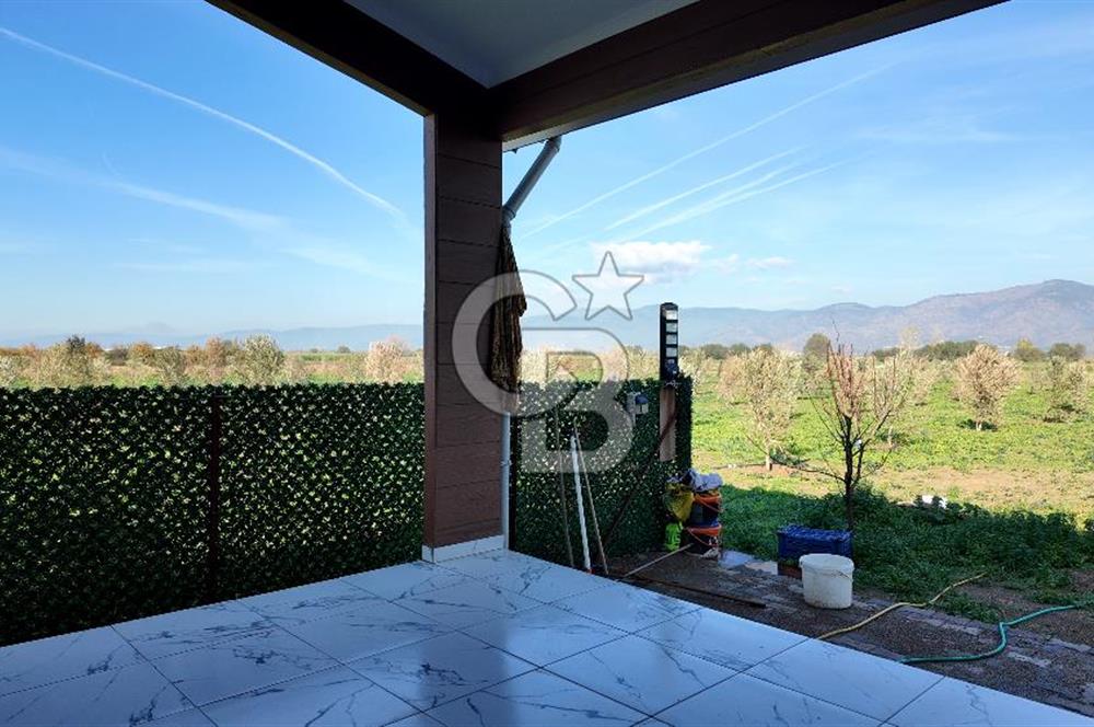 Bayındır 7.119 m² Tarla 107 m² Çelik Ev 250 Zeytin Ağacı 