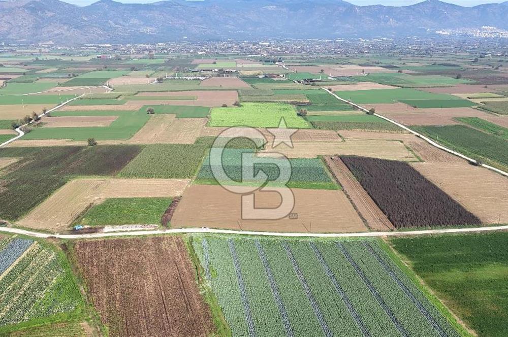 Bayındır Furunlu da 11.483 m2 Satılık Tarla