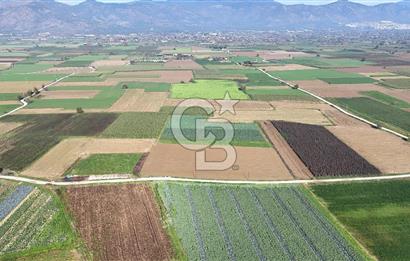 Bayındır Furunlu da 11.483 m2 Satılık Tarla