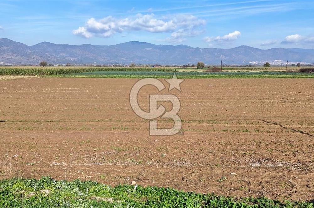 Bayındır Furunlu da 11.483 m2 Satılık Tarla