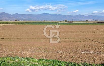 Bayındır Furunlu da 11.483 m2 Satılık Tarla