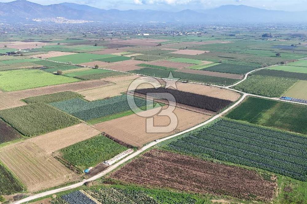 Bayındır Furunlu da 11.483 m2 Satılık Tarla