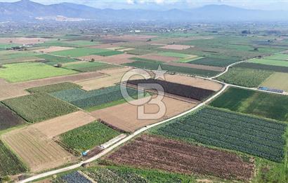 Bayındır Furunlu da 11.483 m2 Satılık Tarla