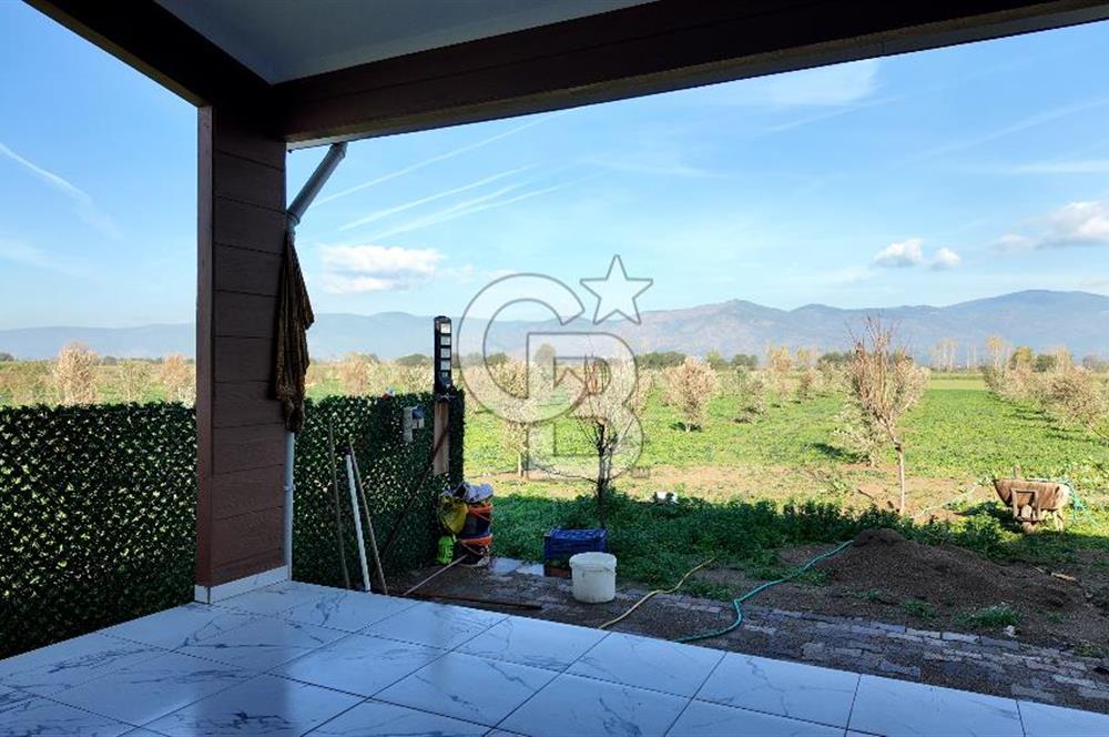 Bayındır 7.119 m² Tarla 107 m² Çelik Ev 250 Zeytin Ağacı 