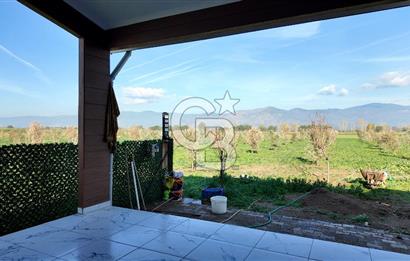 Bayındır 7.119 m² Tarla 107 m² Çelik Ev 250 Zeytin Ağacı 