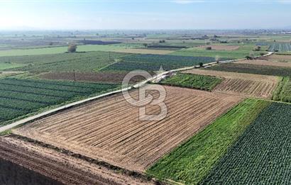 Bayındır Furunlu da 11.483 m2 Satılık Tarla