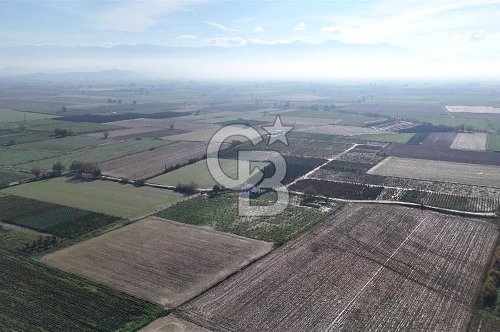 Bayındır 7.119 m² Tarla 107 m² Çelik Ev 250 Zeytin Ağacı 