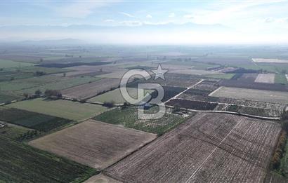 Bayındır 7.119 m² Tarla 107 m² Çelik Ev 250 Zeytin Ağacı 