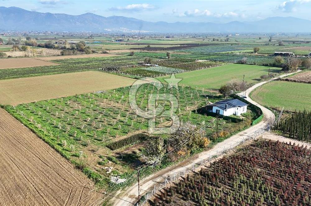 Bayındır 7.119 m² Tarla 107 m² Çelik Ev 250 Zeytin Ağacı 