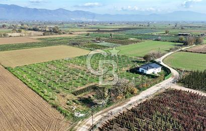 Bayındır 7.119 m² Tarla 107 m² Çelik Ev 250 Zeytin Ağacı 