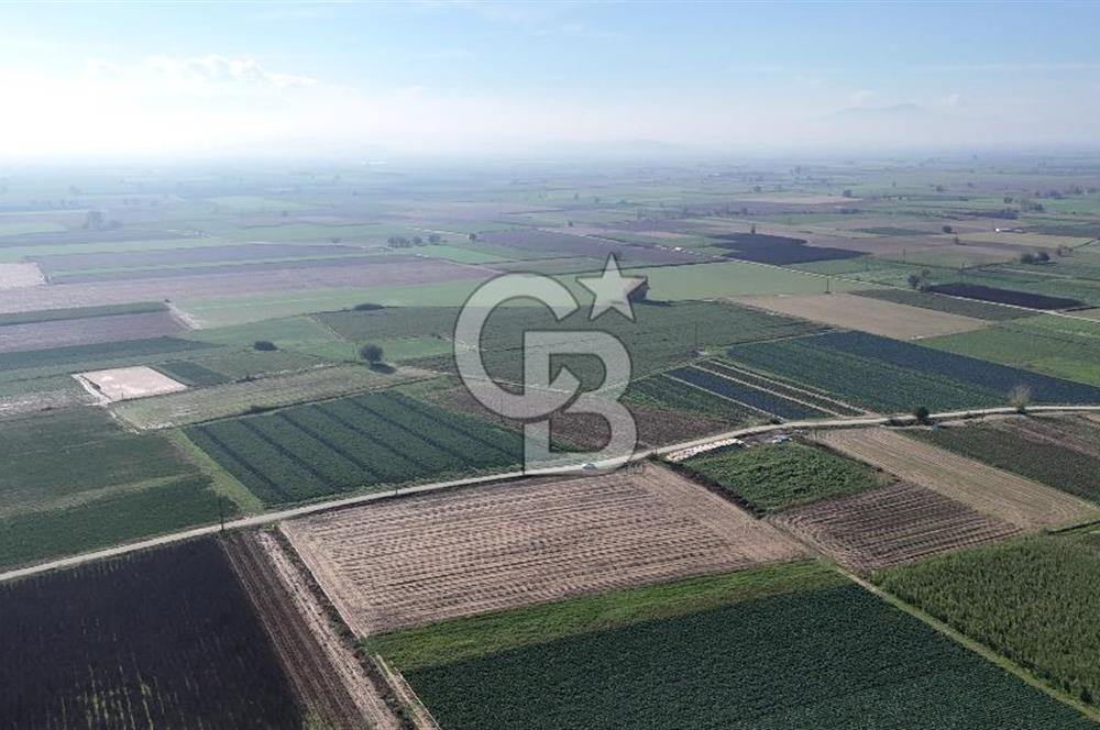 Bayındır Furunlu da 11.483 m2 Satılık Tarla