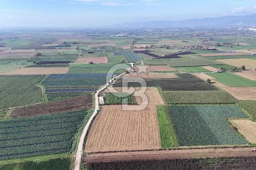 Bayındır Furunlu da 11.483 m2 Satılık Tarla