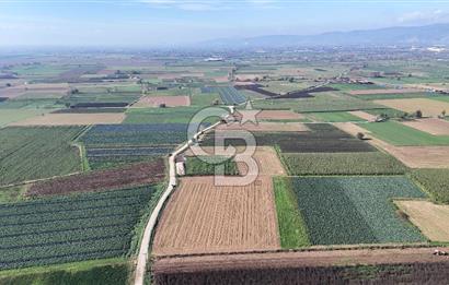 Bayındır Furunlu da 11.483 m2 Satılık Tarla