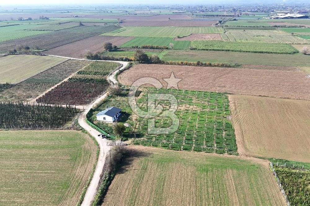 Bayındır 7.119 m² Tarla 107 m² Çelik Ev 250 Zeytin Ağacı 