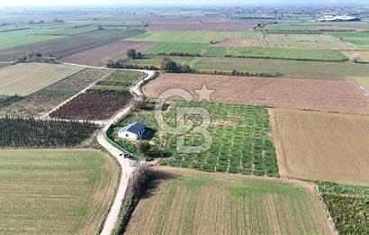Bayındır 7.119 m² Tarla 107 m² Çelik Ev 250 Zeytin Ağacı 