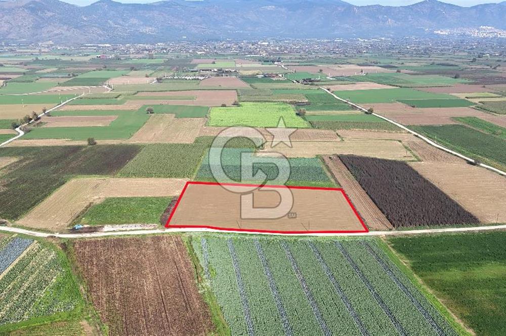 Bayındır Furunlu da 11.483 m2 Satılık Tarla