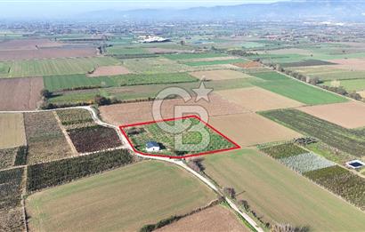Bayındır 7.119 m² Tarla 107 m² Çelik Ev 250 Zeytin Ağacı 