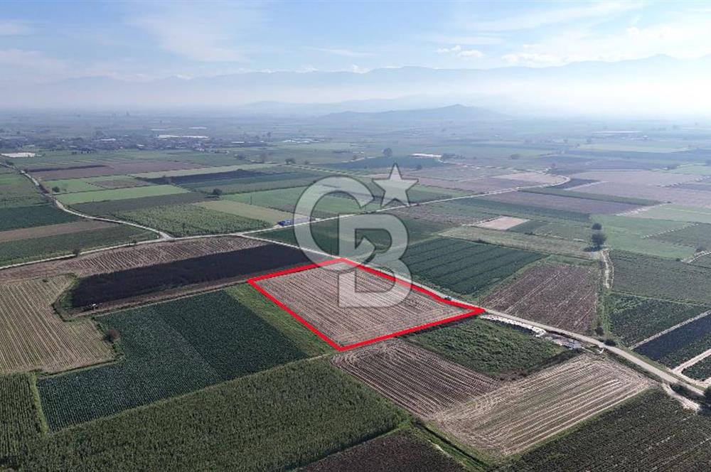 Bayındır Furunlu da 11.483 m2 Satılık Tarla