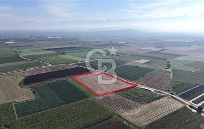 Bayındır Furunlu da 11.483 m2 Satılık Tarla