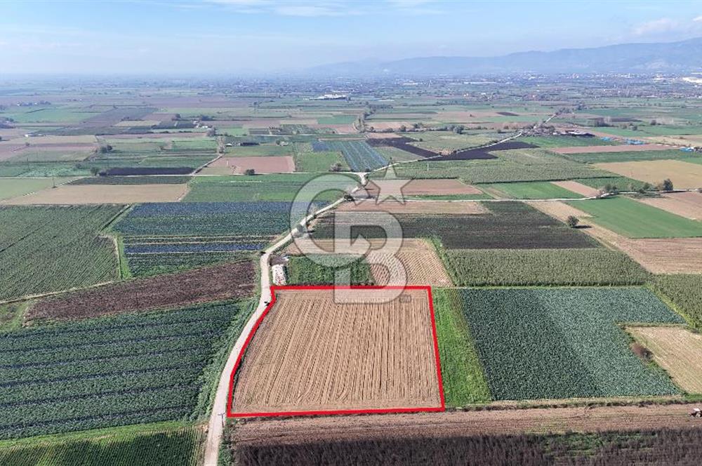 Bayındır Furunlu da 11.483 m2 Satılık Tarla