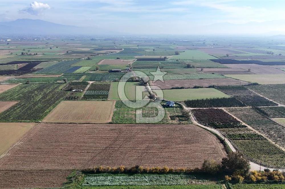 Bayındır 7.119 m² Tarla 107 m² Çelik Ev 250 Zeytin Ağacı 