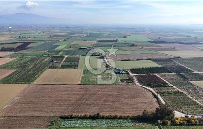 Bayındır 7.119 m² Tarla 107 m² Çelik Ev 250 Zeytin Ağacı 