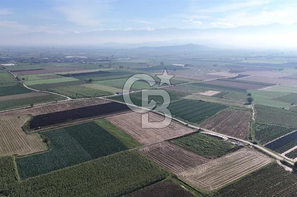 Bayındır Furunlu da 11.483 m2 Satılık Tarla