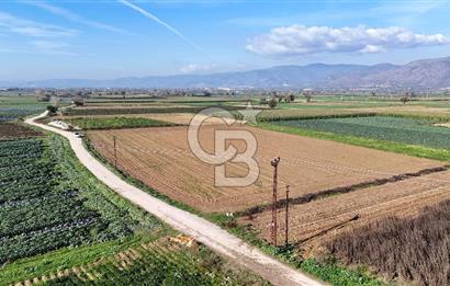 Bayındır Furunlu da 11.483 m2 Satılık Tarla