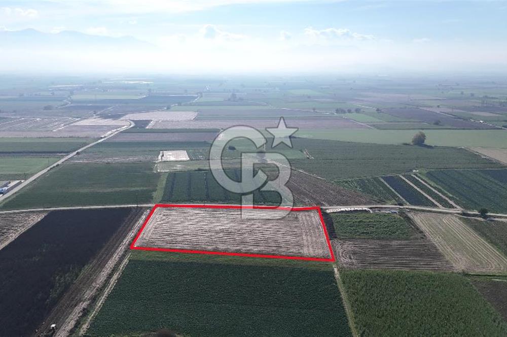 Bayındır Furunlu da 11.483 m2 Satılık Tarla