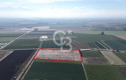 Bayındır Furunlu da 11.483 m2 Satılık Tarla