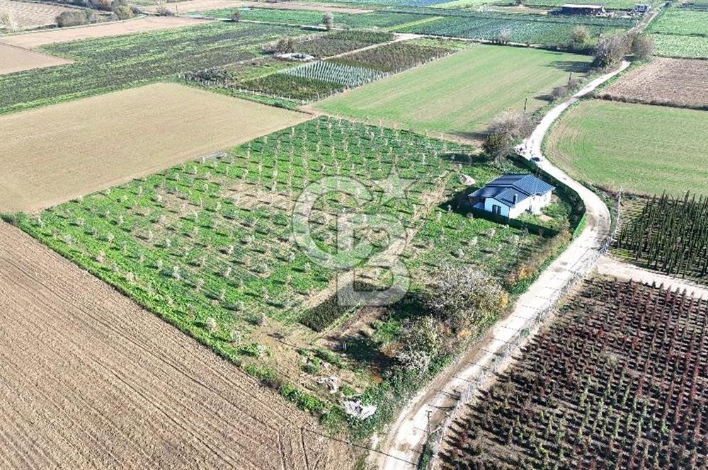 Bayındır 7.119 m² Tarla 107 m² Çelik Ev 250 Zeytin Ağacı 